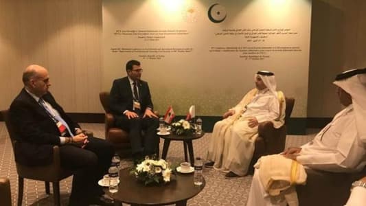 Agriculture Minister meets Qatari Environment Minister