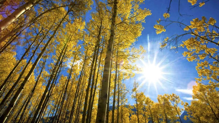 صيف تشرين مستمرّ... متى تُمطر؟