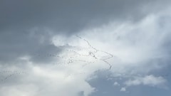 بالفيديو: مشهدٌ رائع في سماء بيروت والضاحية