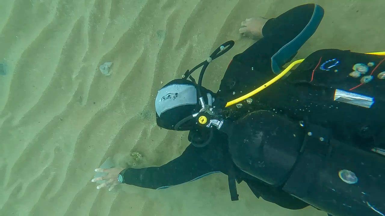 بالصور: تنظيف الشير الصخري في الروشة