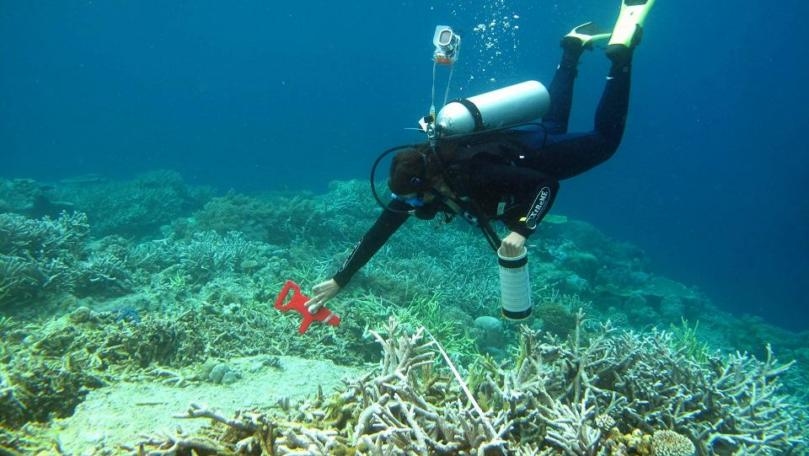 Main Highlight Image