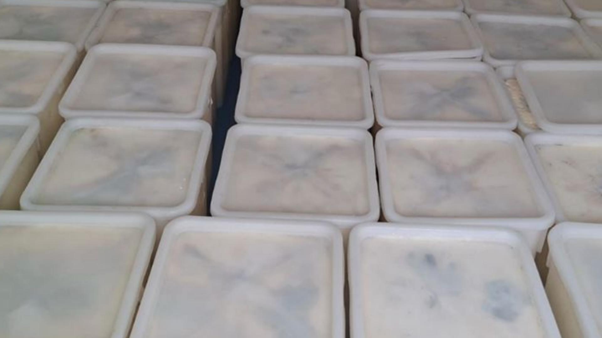 بالأرقام والصور: أجبان مهرّبة ولبنة فاسدة... وألعاب ناريّة ممنوعة!