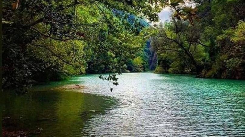 سقط في النهر... والدفاع المدني أنقذه
