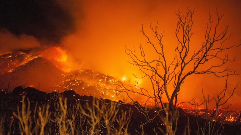 Main Highlight Image