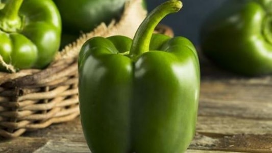 The Insane Rise in Prices of Green Peppers in Lebanon: Causes and Effects