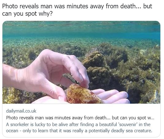 ظنّها مجرّد صدفة جميلة... غواص ينجو بأعجوبة!