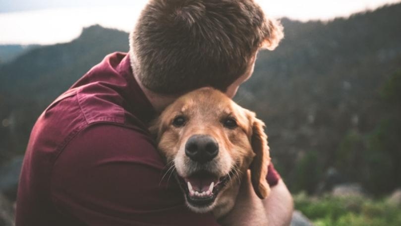 Affection From a Dog Really Is Medicinal, According to New Study