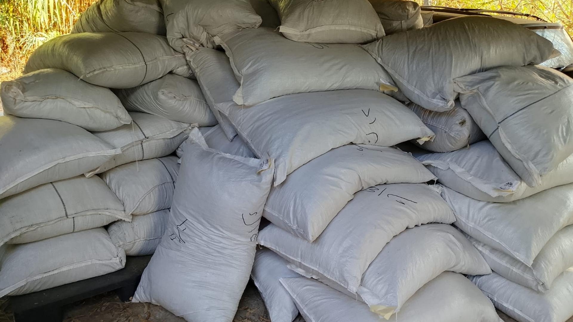 Watch: Smuggled Food, Candy, and Beverages Seized