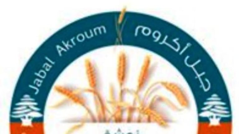 اتحاد بلديات جبل اكروم ناشد قيادة الجيش إرسال طوافات لإطفاء الحريق