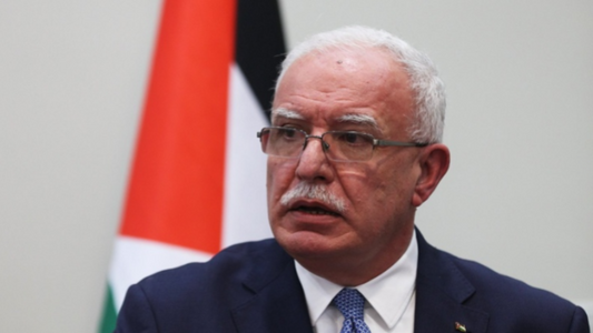 Palestinian top diplomat calls Israel offensive 'war of revenge'