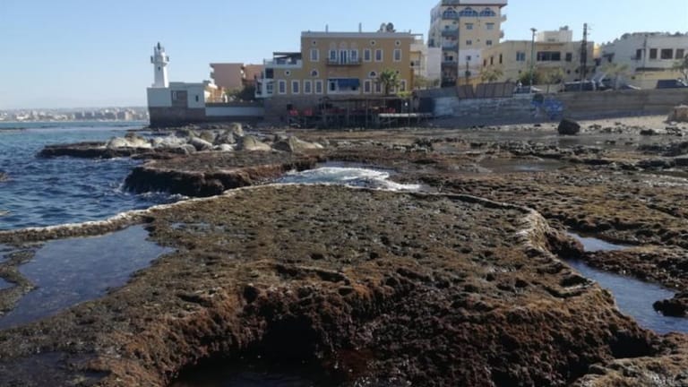 تراجع مياه البحر لا يؤدّي إلى تسونامي!