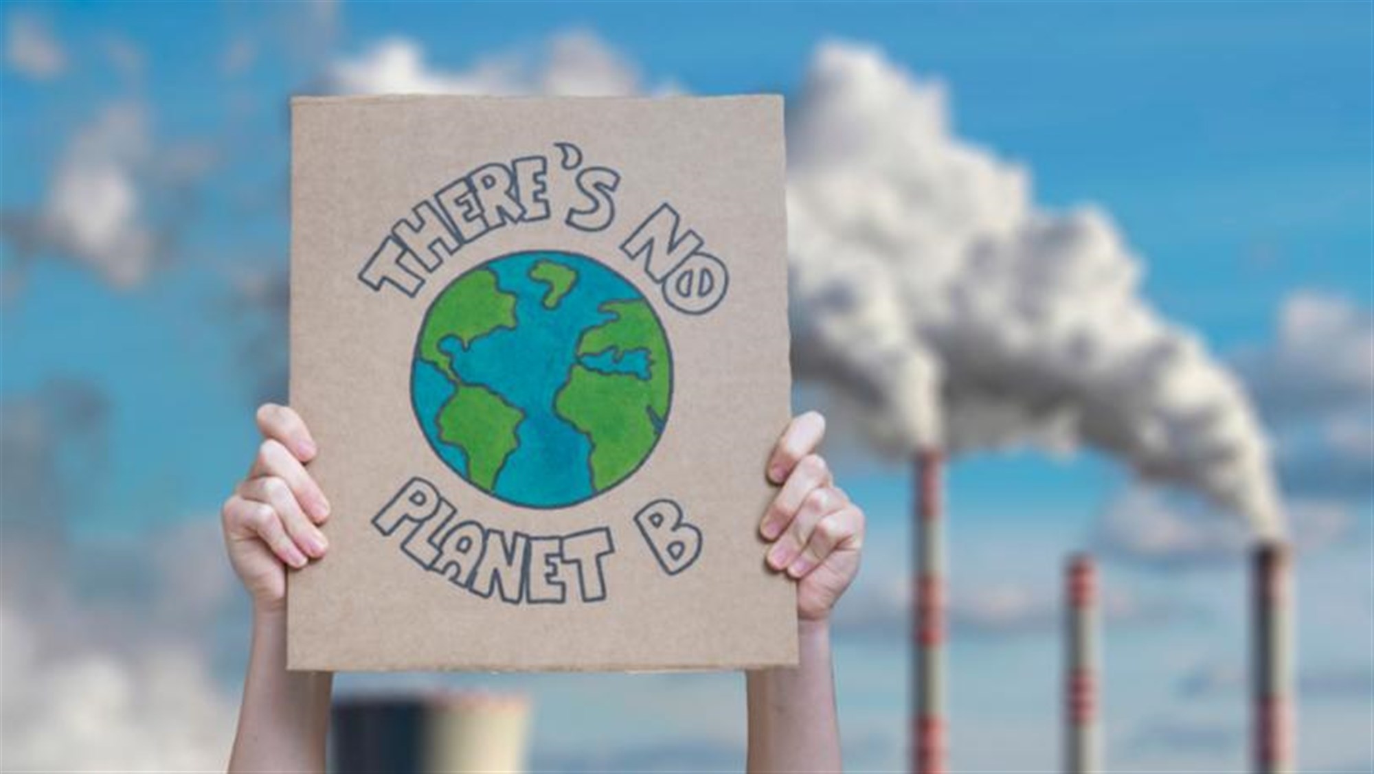 Main Highlight Image