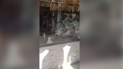 Watch: Gold Shop Robbed in Seconds