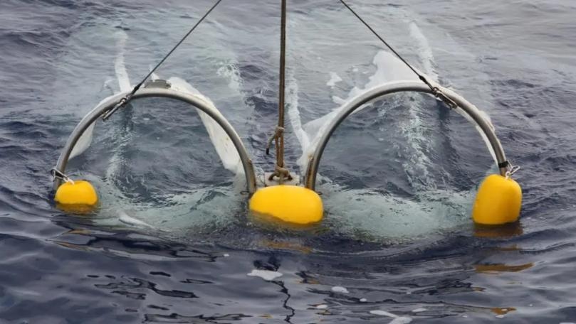 Scientists Find Trove of Over 5,000 New Viruses Hidden in Oceans