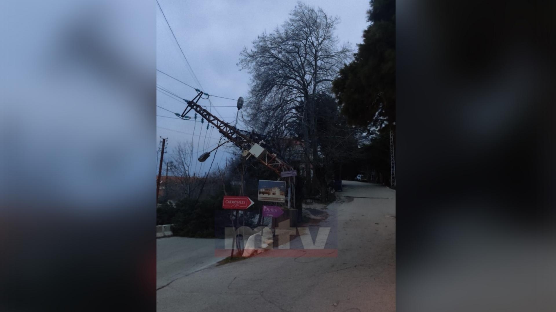 Photos: Tree falls due to winds, road blocked