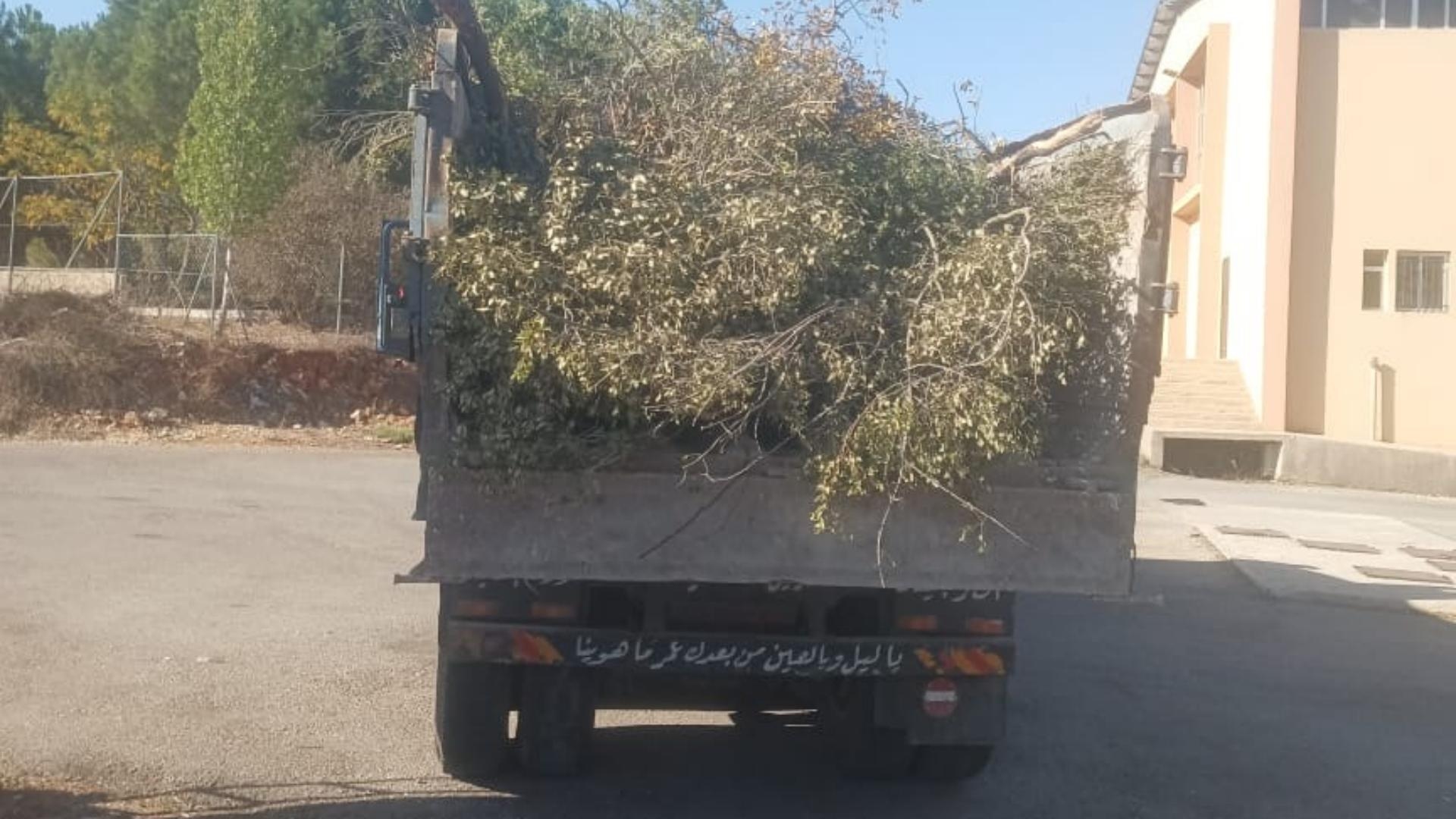 بالصّور: قطع أشجار والوزارة تتدخّل