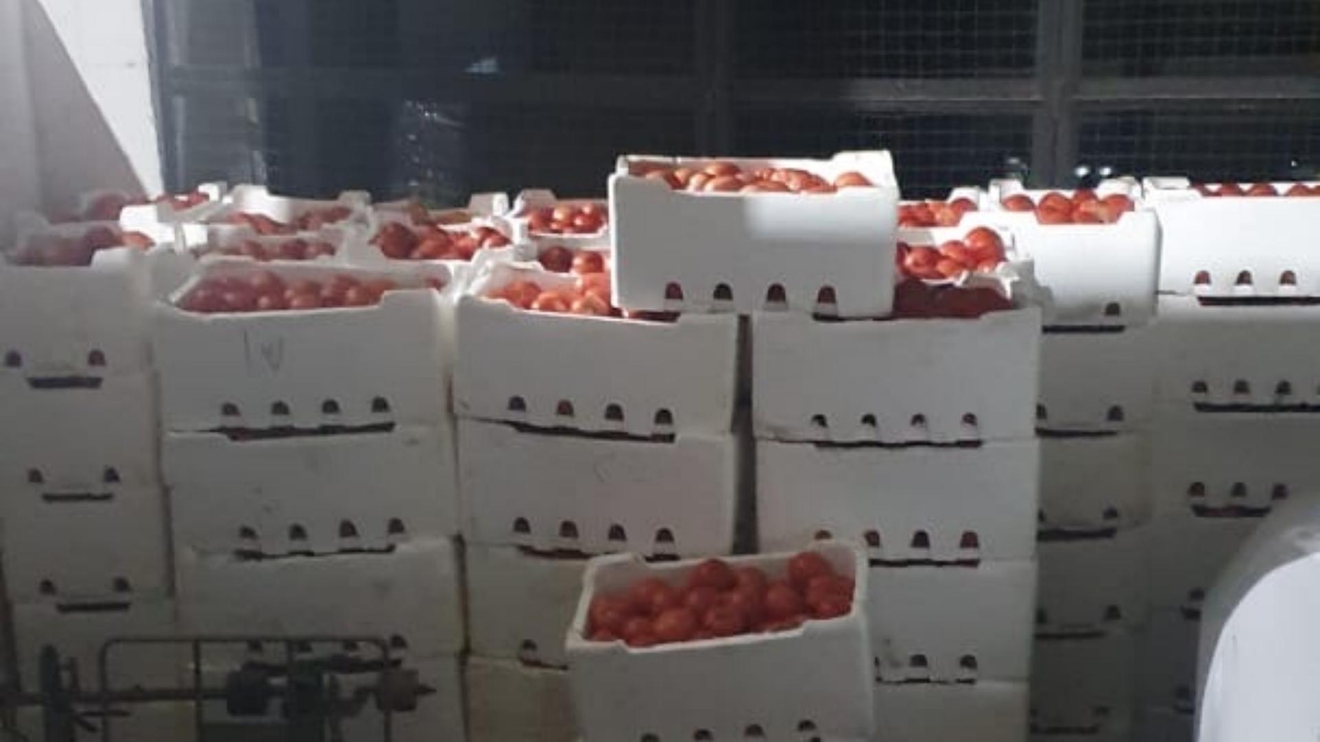 Photos: Authorities Seize Smuggled Produce