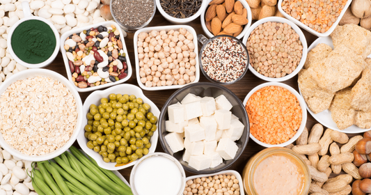 Plant-based Protein: The Best, the Worst, and Everything In Between