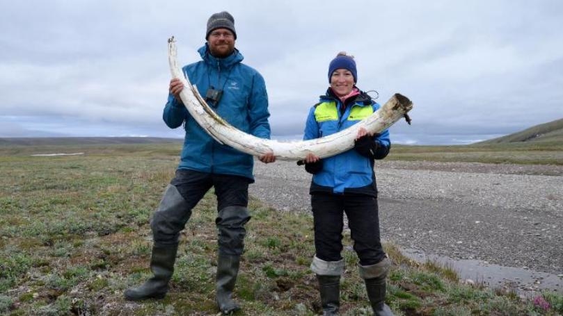 World’s Oldest DNA Sequenced from a Mammoth That Lived Over a Million Years Ago