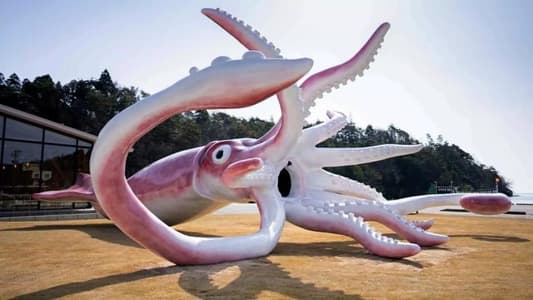 Japanese Town Builds Giant Squid Statue With Covid Grant