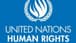 United Nations Human Rights Office: An Israeli attack on Rafah must not be allowed