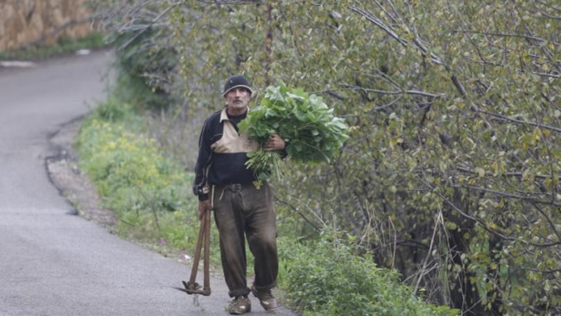 الاتفاقيّات التجاريّة: فُرَص الصادرات الضائعة