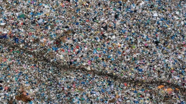What Are Microplastics Doing to Our Brains?
