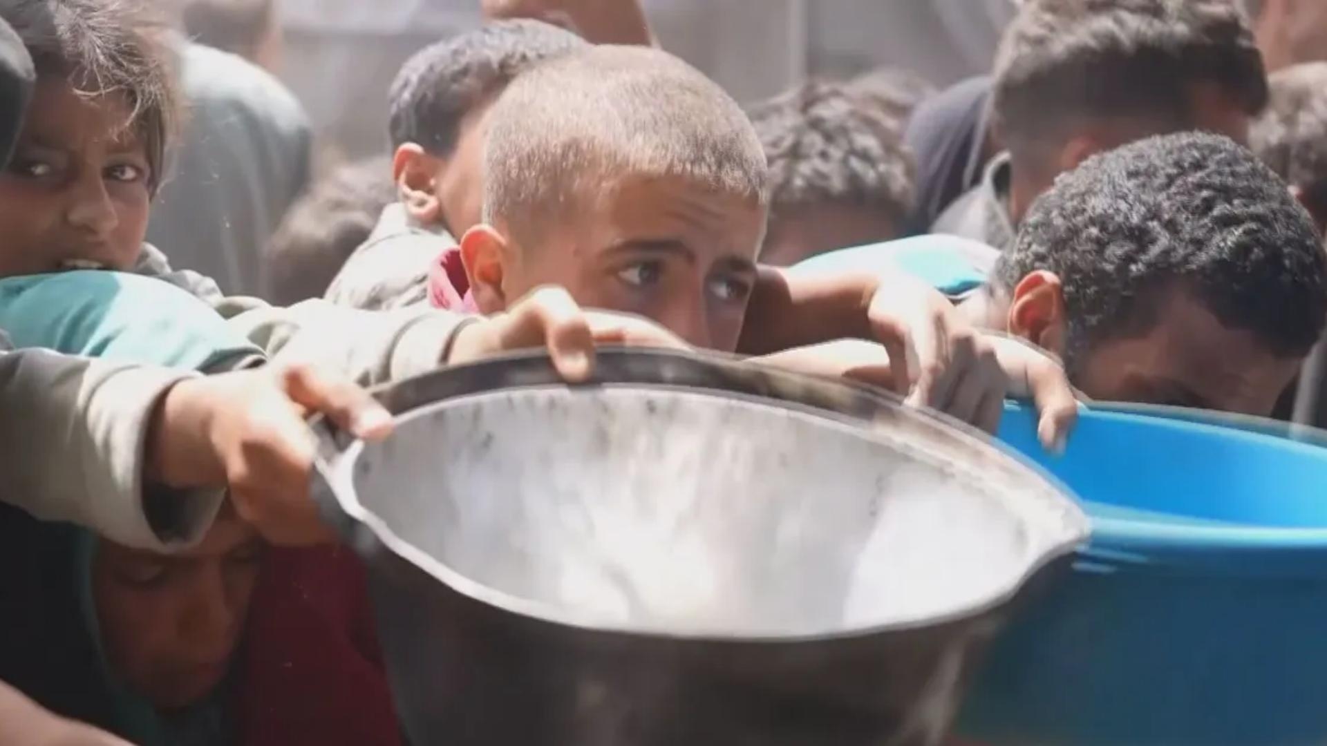 مستويات "كارثية" من الجوع في غزة