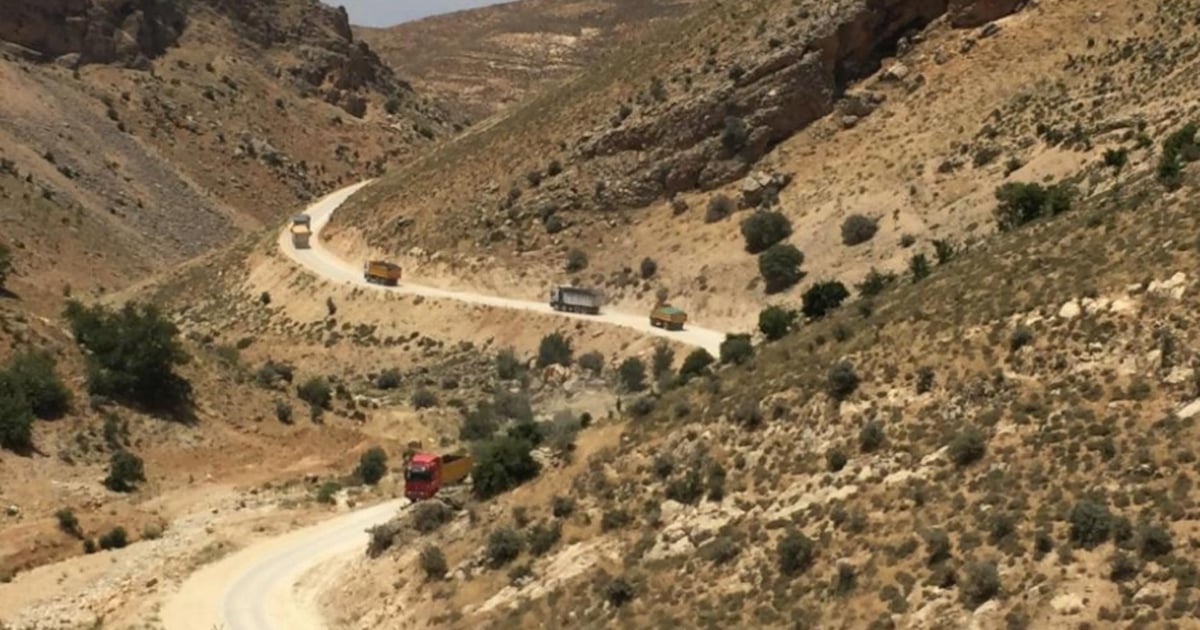 صورة الخبر