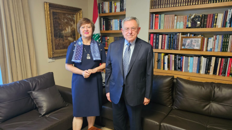 Siniora discusses current situation with UN’s Wronecka