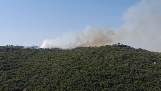 NNA: Two Israeli missiles exploded in the airspace of Blida