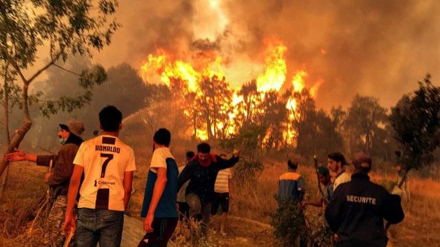AFP: 26 dead as forest fires spread in north Algeria
