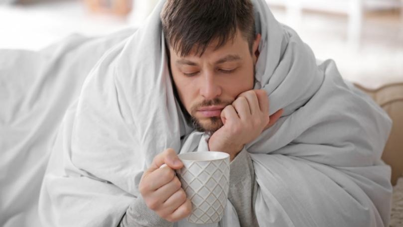 Main Highlight Image