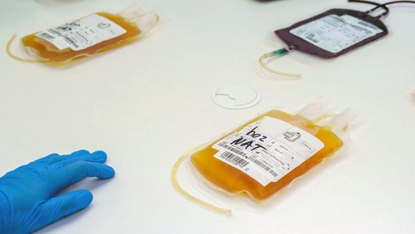 Chronic Covid-19 and Convalescent Plasma May Boost Mutation Risk