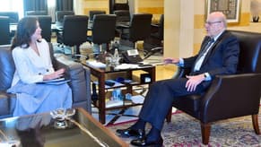 Mikati discusses developments with US Ambassador