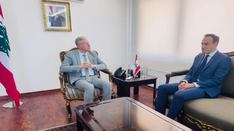 Rajji discusses UNIFIL Renewal with Danish, Slovenian Ambassadors