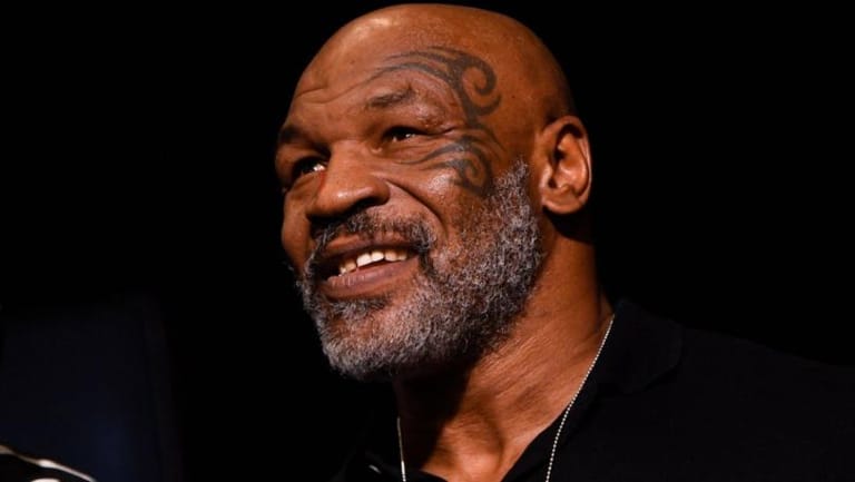 Mike Tyson hits passenger on US plane