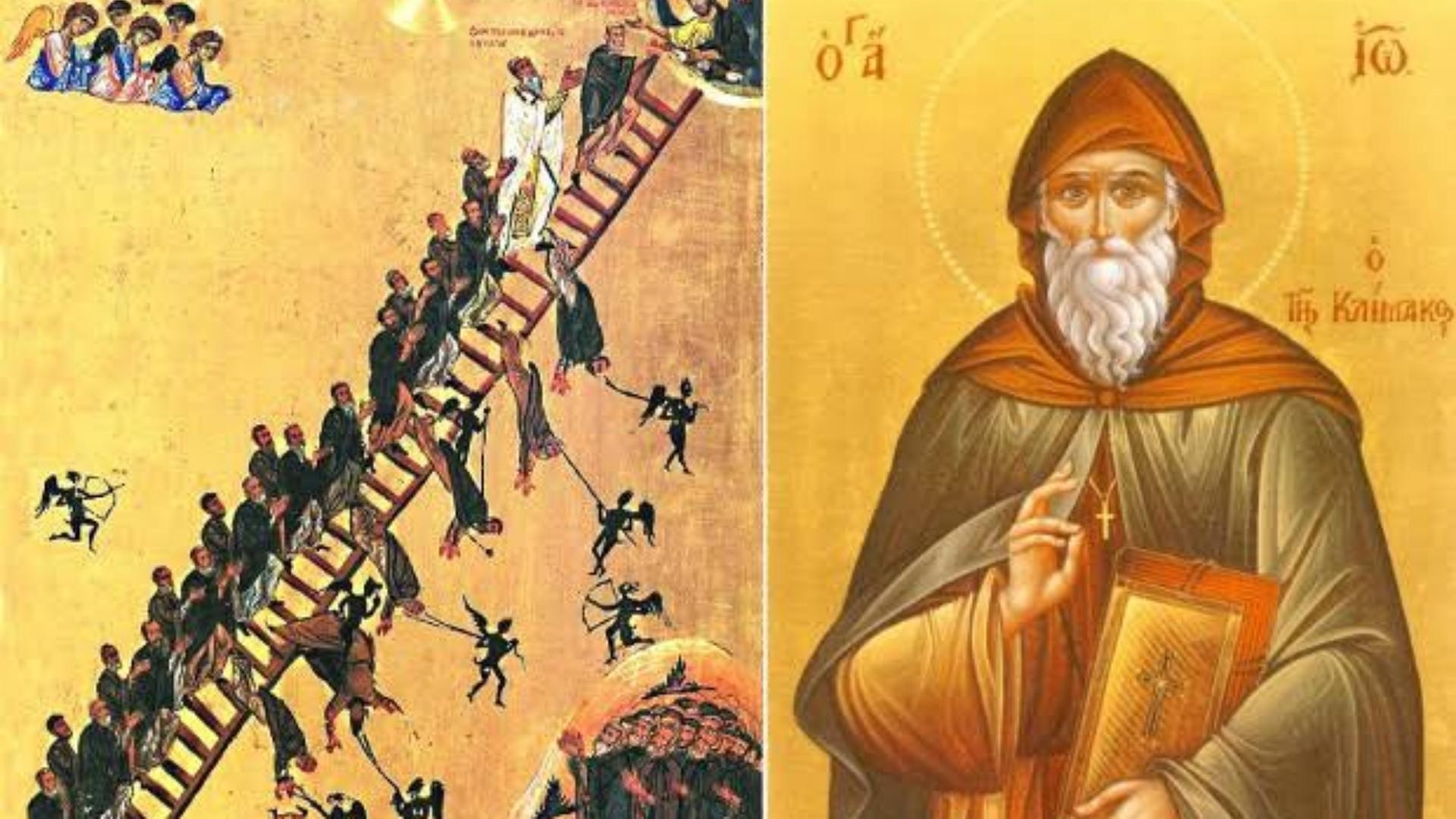 Main Highlight Image