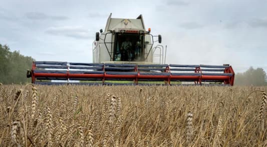 Polish minister says talks with Ukraine on track after grain import ban