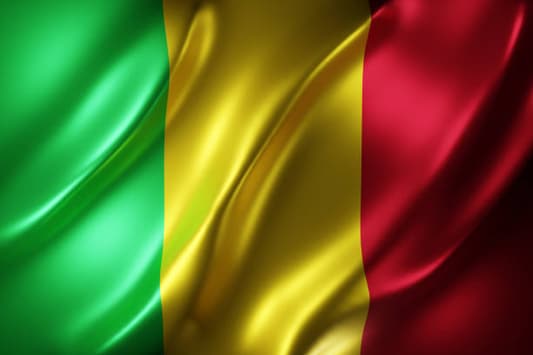 Mali says Russia renewed its "unstinting support" after end of UN mission