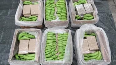 Greek coast guard seizes $1 mln of cocaine hidden in banana cargo