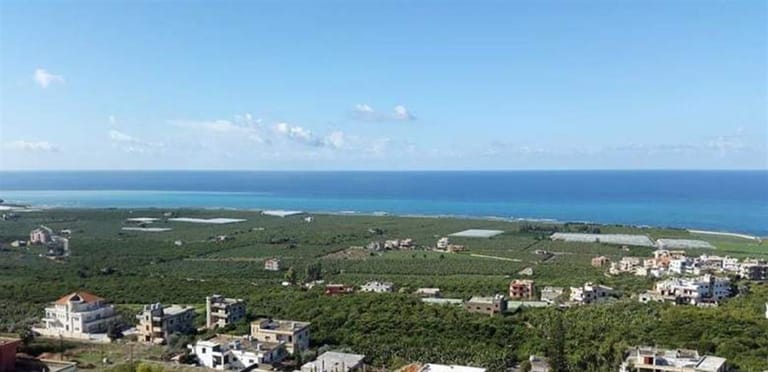 بلدية عدلون تفرض حظر تجوّل ليلي