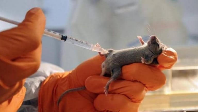 دراسة صادمة تكشف فعالية "السائل المنوي" لـ200 عام