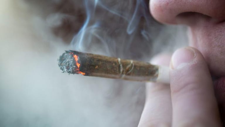Schizophrenia Linked to Marijuana Use Disorder Is on the Rise, Study Finds