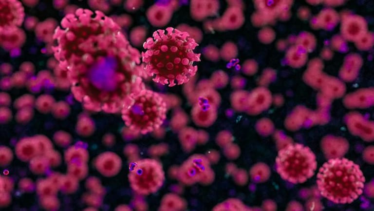 AFP: 'Exponential' rise in coronavirus cases in DR Congo capital Kinshasa, WHO says