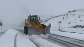 Hamieh Shares Video of Snow Removal Efforts, Urges Public Caution