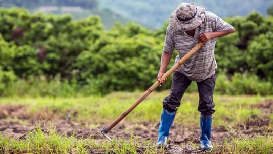 بالأرقام: أسواق الخليج تتصدر تسويق الإنتاج الزراعي اللبناني