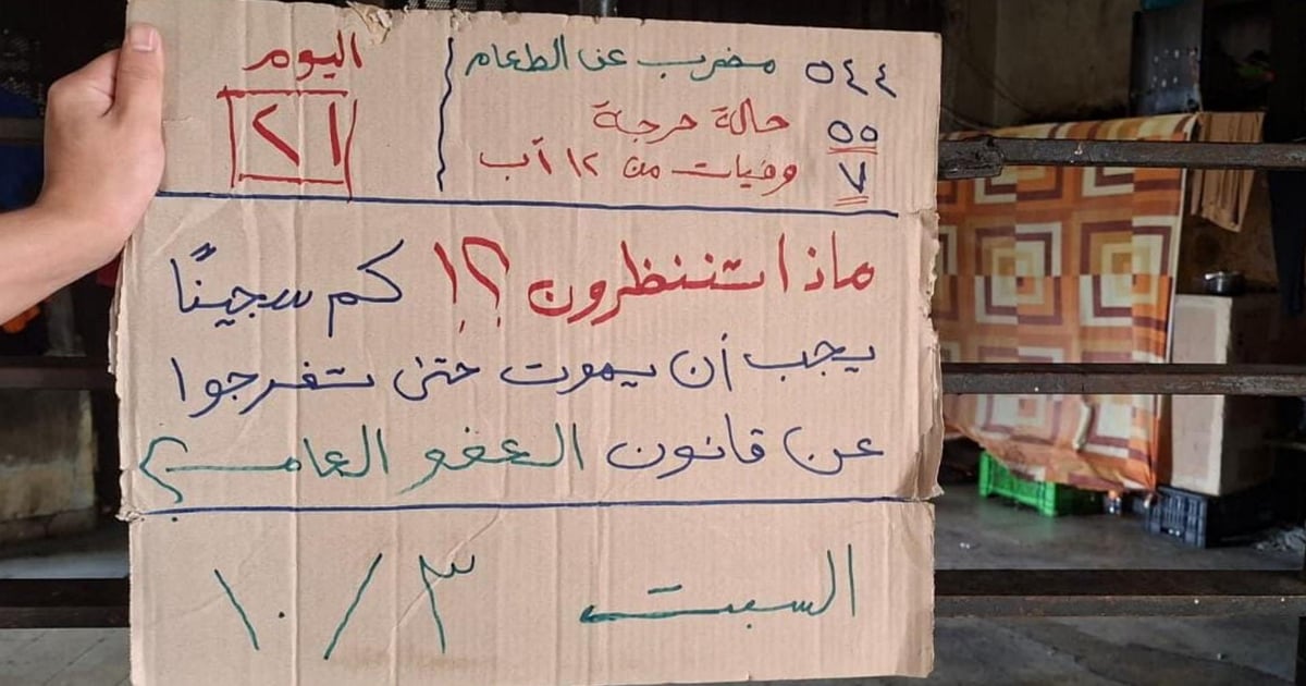 صورة الخبر