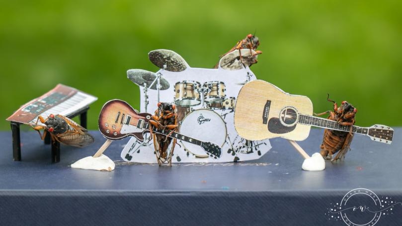 Photos: Cicadas Make Their Olympic Debut in Miniature Art Scenes