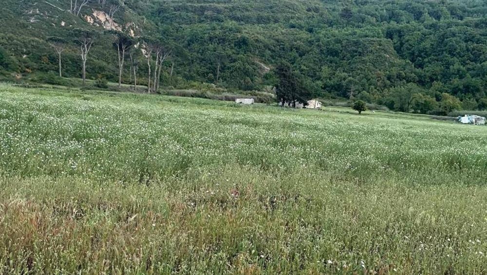 سدّ أو لا سدّ؟